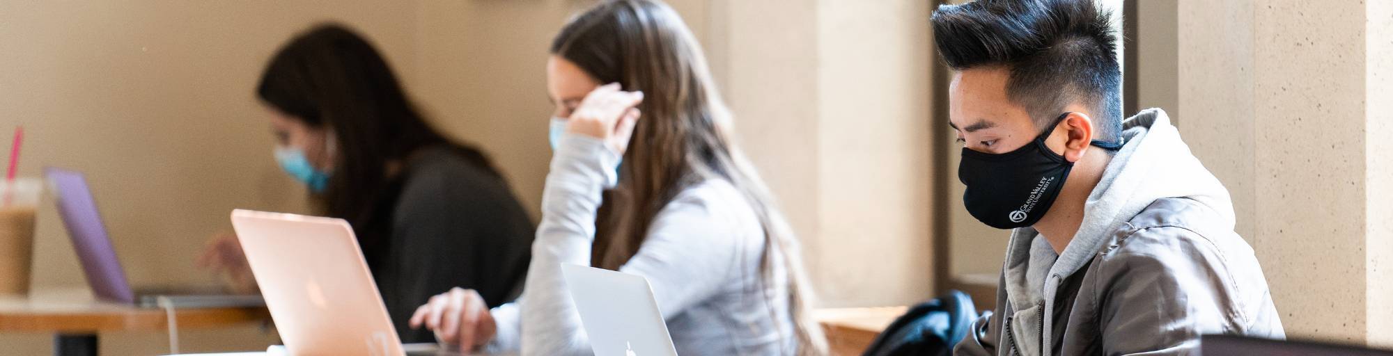 Photo of students on their computers